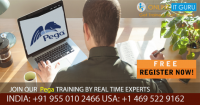 Best Pega Online Training In Hyderabad