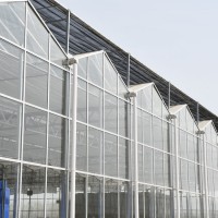 Glass Greenhouse2