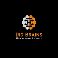DID BRAINS DIGITAL MARKETING AGENCY