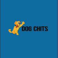 Dog Chits