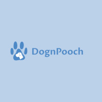 Dog training classes