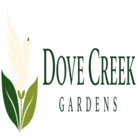 Dove Creek Gardens – Best Garden Tool Reviews & Buying Guides