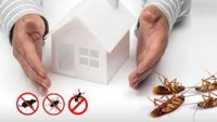 Pest Control Redland Bay
