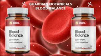 How to Explain Guardian Blood Balance to Your Boss