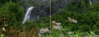 Valley of Flowers Trek by Himalaya Shelter
