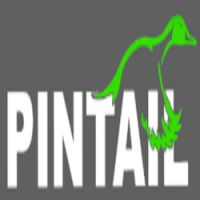 PINTAIL Inc.