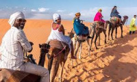 Marrakech desert trips and tours