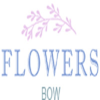 Flower Delivery Bow