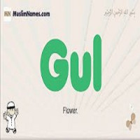 Office Cleaning Dubai
