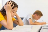 splendid tutoring