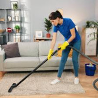 Best Pest Control Company in Dubai – VIP Cleaning UAE