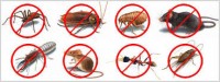 Pest Control Pymble