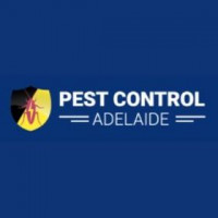 Rodent Control Adelaide