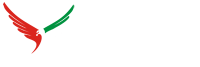 Eagle Wings Business Consultant