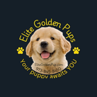 Elite Golden Pups