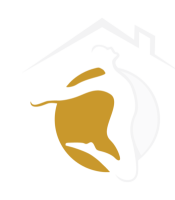 Elite Body Home Aesthetic Clinic