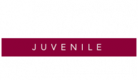 Juvenile Defense Attorney in New Jersey | NJ Juvenile Lawyer