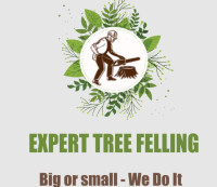 experttreefelling