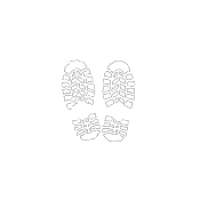 Safety Work Boots Online Australia | Work Boots Direct