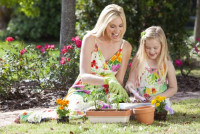 Gardener Gardening