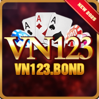vn123bond