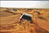 Morning Desert Safari Dubai |Desert Evening Safari|