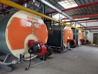 WNS Fuel Oil Fired Industrial Hot Water Boiler13