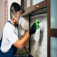 Pest Control Sheidow Park