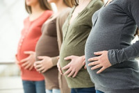 Fertility Lawyersl
