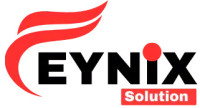Feynix Solution Customs Web and International SEO experts
