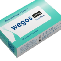 WEGO6 UK Daily Health Capsules with Essential Nutrients & Extracts