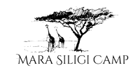 Mara Siligi Camp