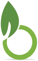 buy homeopathic medicine online