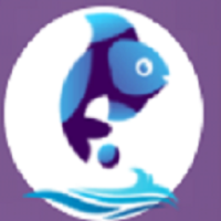 Digital Marketing Company -Fish Eye Advertising