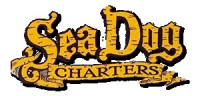 Sea Dog Fishing Charters Marathon Marina