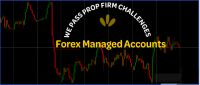 Prop Firm Challenge Management Service — FTMO, FundedNext, The5ers, Apex