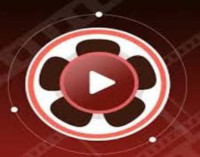 Freecine Atualizado – A Nova Versão com Mais Filmes e Séries Grátis