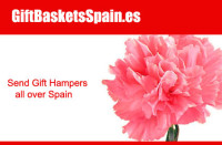 Valentine's Day Gifts to Spain -Amorous Flowers, Chocolates and Delish Combos at Better Costs!