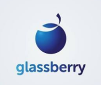 The Glassberry IT Solution Pvt. Ltd.