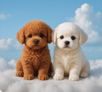 Wuffy: The Interactive Wiggle Toy Dogs Can’t Resist
