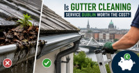 Gutter Cleaning service