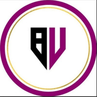 Bizvibez Consultants