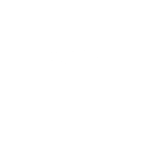 Honolulu Auto Transport