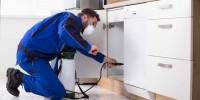 Massey Pest Control Adelaide