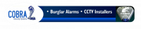 Cobra Security Systems Ltd