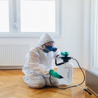 Pest Control Parramatta