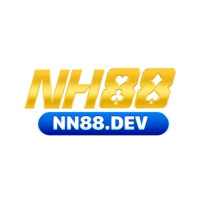 nn88dev1