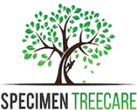 Specimen Treecare