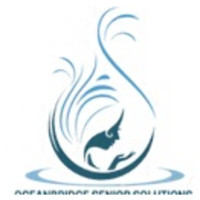 Ocean Bridge Senior Solutions