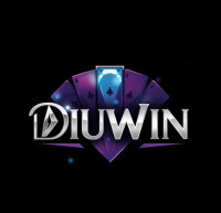 Diuwin Empowering Digital Innovation and Growth
